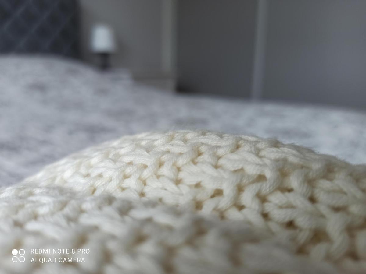 New Big Loft Apartments Jurmala With Free Secured Parking エクステリア 写真